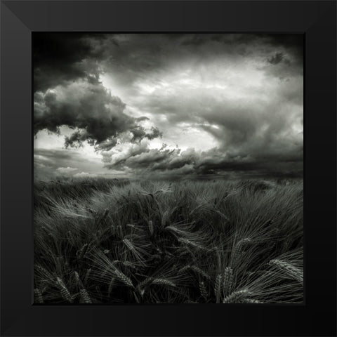 After The Storm Black Modern Wood Framed Art Print by Pfleghart, Franziskus
