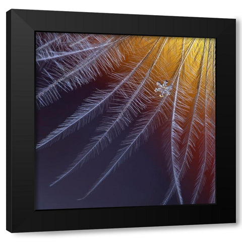 Ice And Flame Black Modern Wood Framed Art Print with Double Matting by Solovieva, Elena