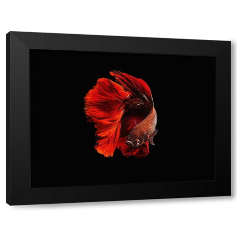 The Red Black Modern Wood Framed Art Print with Double Matting by Halil, Andi