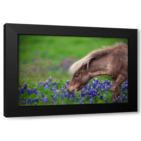 Spring Is In The Air... Black Modern Wood Framed Art Print with Double Matting by Zheng, Michael