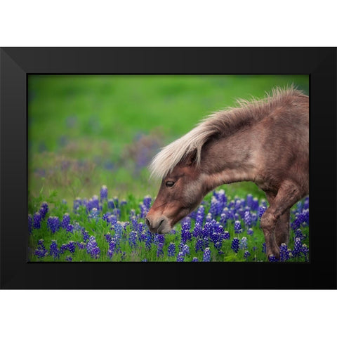 Spring Is In The Air... Black Modern Wood Framed Art Print by Zheng, Michael