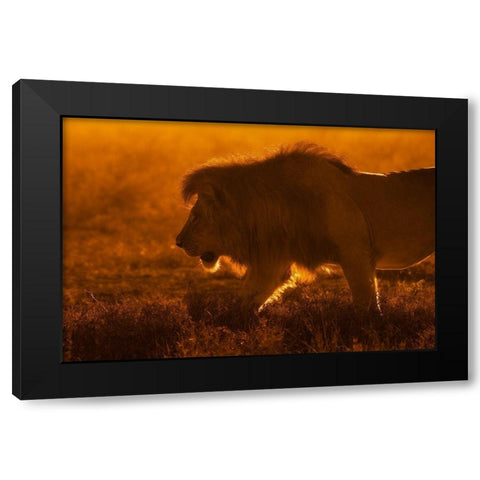 Shiny King Black Modern Wood Framed Art Print with Double Matting by Alnaser, Mohammed