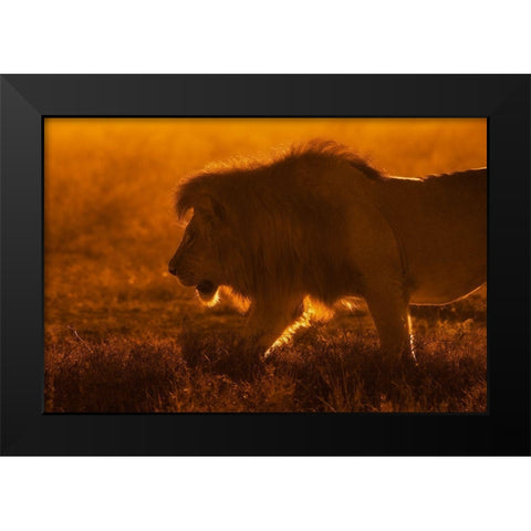 Shiny King Black Modern Wood Framed Art Print by Alnaser, Mohammed