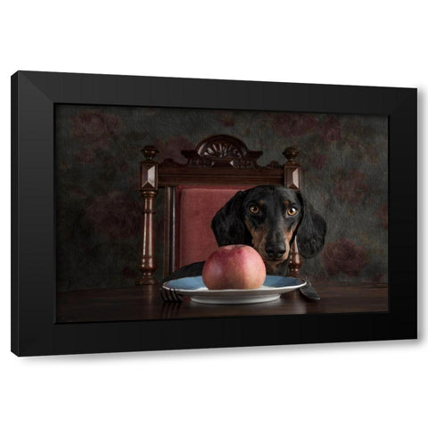An Apple A Day Keeps The Doctor Away... Black Modern Wood Framed Art Print with Double Matting by Willers, Heike