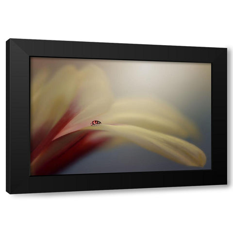 The Journey Black Modern Wood Framed Art Print by Pamungkas, Edy