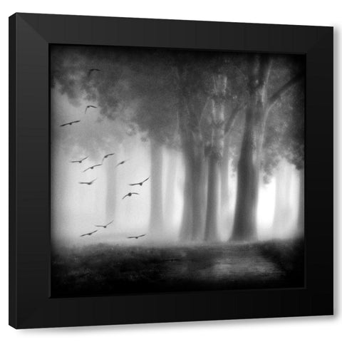 Morning Trees Black Modern Wood Framed Art Print with Double Matting by Van Bijnen, Jacqueline