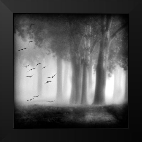 Morning Trees Black Modern Wood Framed Art Print by Van Bijnen, Jacqueline