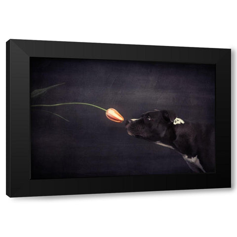 First Approach - Hildegard And The Tulip Black Modern Wood Framed Art Print by Willers, Heike