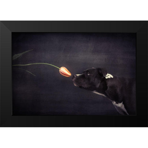 First Approach - Hildegard And The Tulip Black Modern Wood Framed Art Print by Willers, Heike