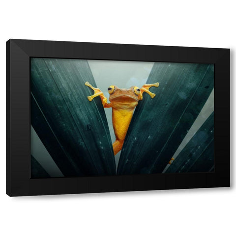 Gold Frog Black Modern Wood Framed Art Print with Double Matting by Priyadi, Andri