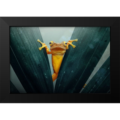 Gold Frog Black Modern Wood Framed Art Print by Priyadi, Andri