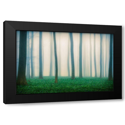 Daydreaming Of Bluebells Black Modern Wood Framed Art Print with Double Matting by Popan, Adrian