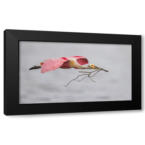 Pink And Grey Black Modern Wood Framed Art Print with Double Matting by Barsh, Greg