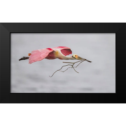 Pink And Grey Black Modern Wood Framed Art Print by Barsh, Greg