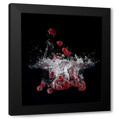 Raspberry Splash Black Modern Wood Framed Art Print with Double Matting by Stefan, Mogyorosi