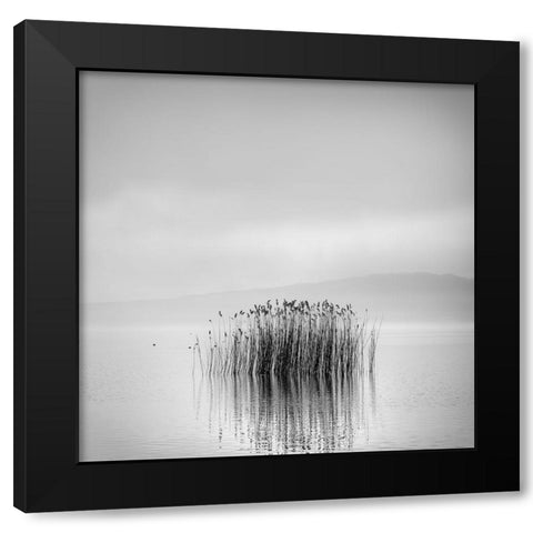 Morning Silence Black Modern Wood Framed Art Print by Digalakis, George