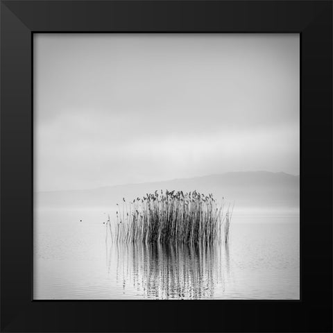Morning Silence Black Modern Wood Framed Art Print by Digalakis, George