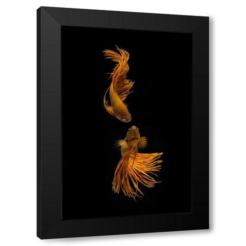 Love Story Of The Golden Fish Black Modern Wood Framed Art Print by Rahayu, Ganjar