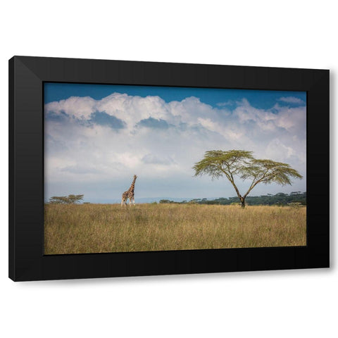 Qeast Africaq Black Modern Wood Framed Art Print by C. Sink, Jeffrey