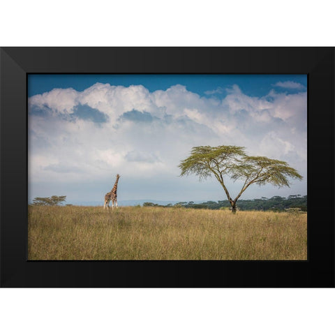 Qeast Africaq Black Modern Wood Framed Art Print by C. Sink, Jeffrey