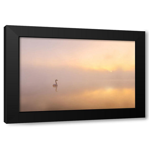 Misty Morning Black Modern Wood Framed Art Print by Gritzmann, Katarzyna