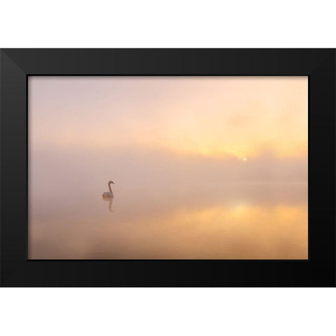 Misty Morning Black Modern Wood Framed Art Print by Gritzmann, Katarzyna