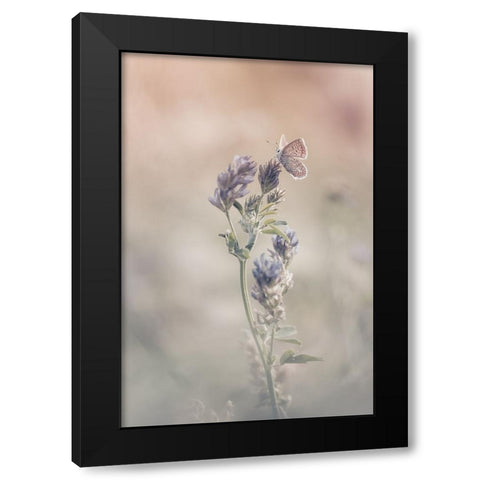 Sweet World Black Modern Wood Framed Art Print with Double Matting by Bastien, Sam