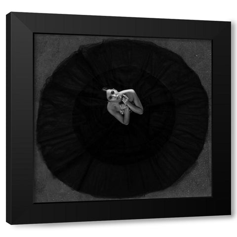 Black Swan Black Modern Wood Framed Art Print with Double Matting by Krystynek MQEP, Martin