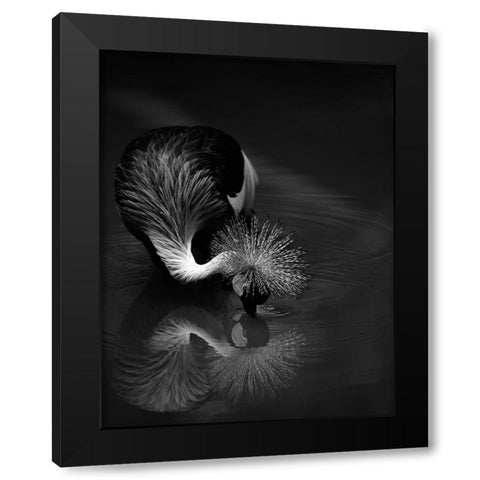 The Reflection Black Modern Wood Framed Art Print by Tjandra, C.S.