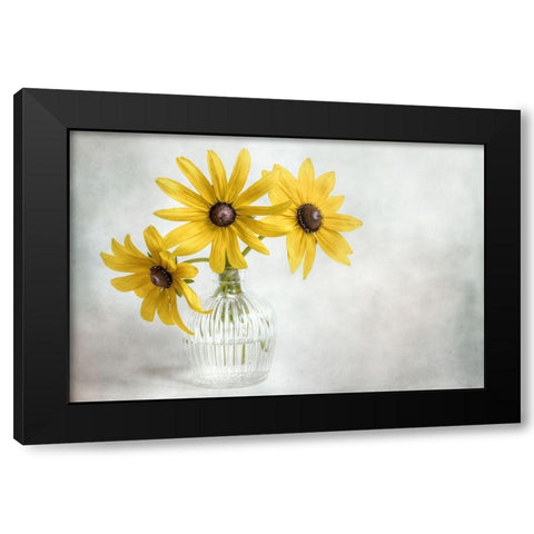 Rudbeckia Black Modern Wood Framed Art Print by Disher, Mandy