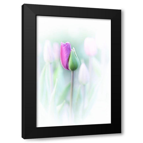 Elegant Black Modern Wood Framed Art Print with Double Matting by Jacobs, Lydia
