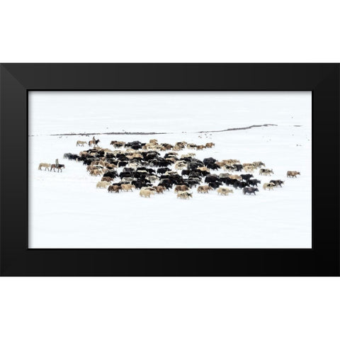 Yaks In Snow Black Modern Wood Framed Art Print by Zhu, Hua