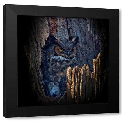 Hide And Seek Black Modern Wood Framed Art Print by Cheng, Yu