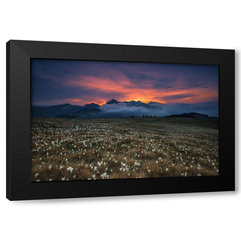 Blooming Dawn Black Modern Wood Framed Art Print with Double Matting by Manzoni, Michel