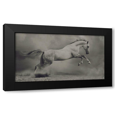 Parical Black Modern Wood Framed Art Print with Double Matting by Dashtrazmi, Hamze