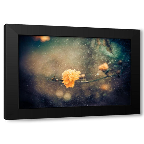 Spring Black Modern Wood Framed Art Print by Bernardino Coelho, Antonio