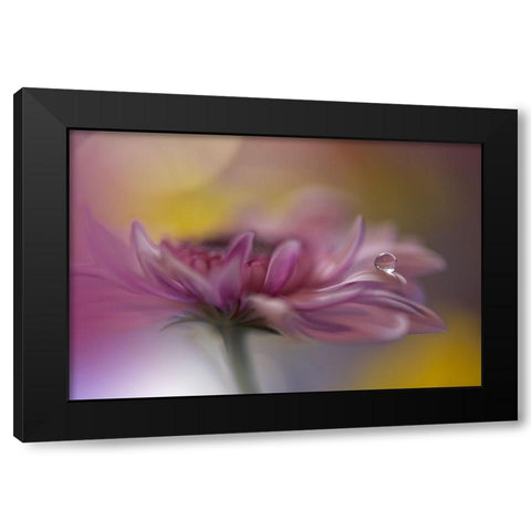 Beyond Words... Black Modern Wood Framed Art Print by Nan, Juliana