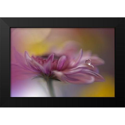 Beyond Words... Black Modern Wood Framed Art Print by Nan, Juliana