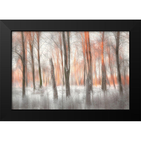 Evening Light Black Modern Wood Framed Art Print by Davidsson, Gustav