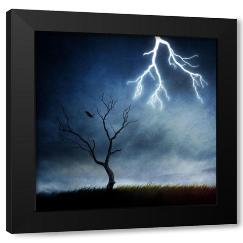 Lightning Tree Black Modern Wood Framed Art Print with Double Matting by Del Grosso, Sebastien