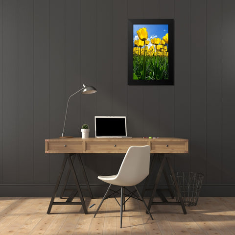 Tulipani Black Modern Wood Framed Art Print by Ravasco, Lorenzo