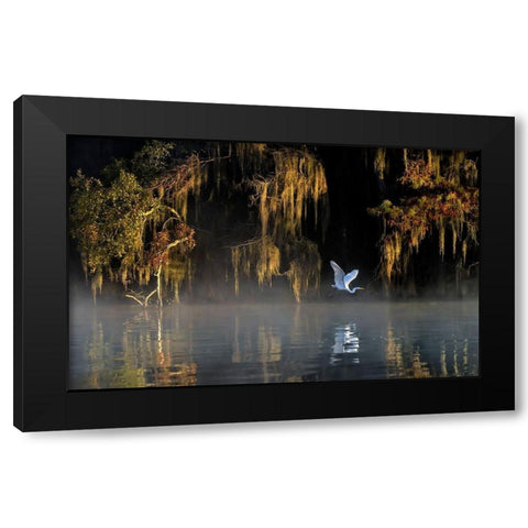Egret Black Modern Wood Framed Art Print with Double Matting by Zhu, Hua