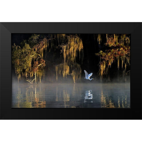 Egret Black Modern Wood Framed Art Print by Zhu, Hua