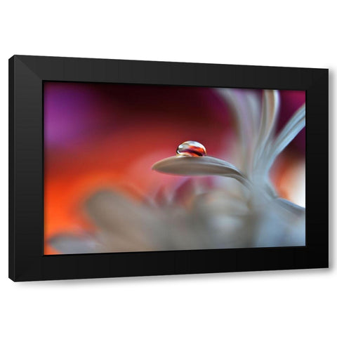 Happy Colors Black Modern Wood Framed Art Print by Westum, Heidi