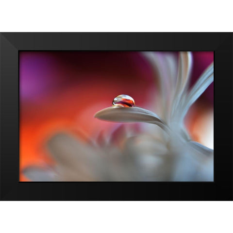 Happy Colors Black Modern Wood Framed Art Print by Westum, Heidi