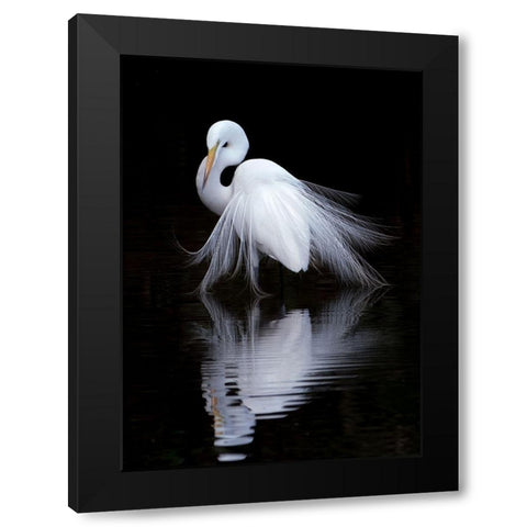 Watching Black Modern Wood Framed Art Print by Li, Ben