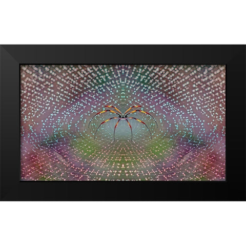 Spider Black Modern Wood Framed Art Print by Thomopoulos, Thomas