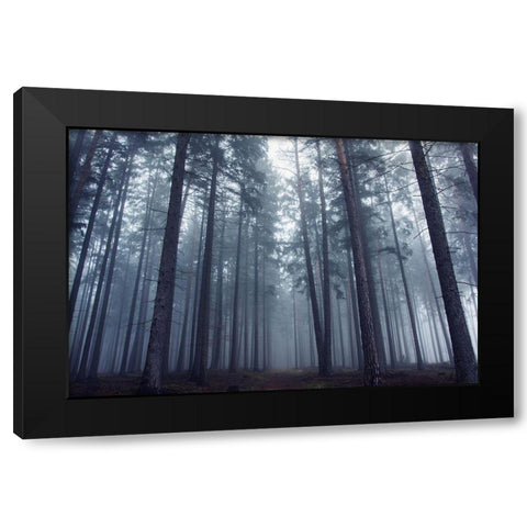 Mysterious Foggy Forest. Black Modern Wood Framed Art Print with Double Matting by Charouz, David