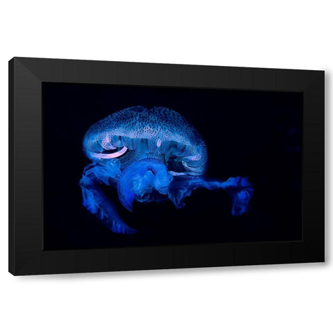 Pelagia Noctiluca 2 Black Modern Wood Framed Art Print with Double Matting by Molinari, Romano