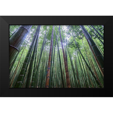 Tall Black Modern Wood Framed Art Print by Wrobel, Karsten